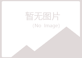 白城女孩音乐有限公司